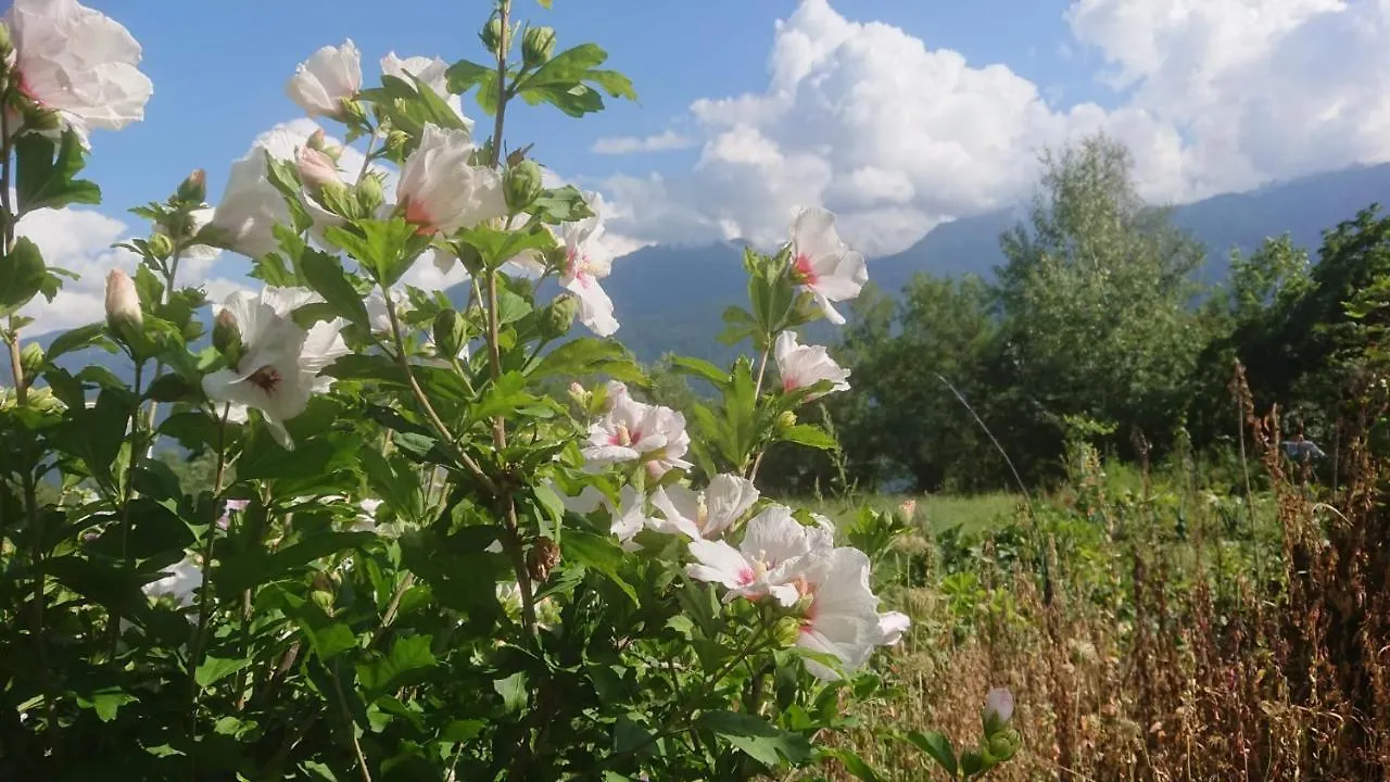 Dom wakacyjny Willa Casa Delle Rose Teglio Włochy