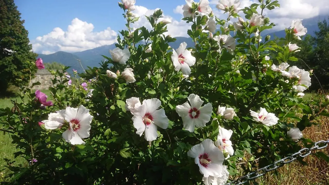 Willa Casa Delle Rose Teglio 0*,  Włochy